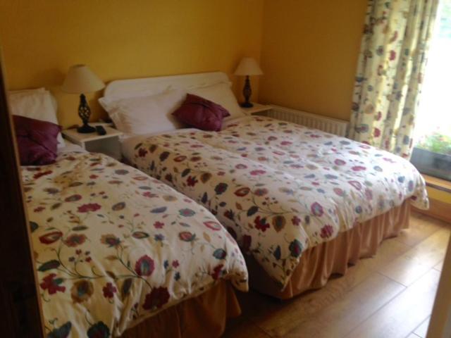 River Edge B&B Jamestown Buitenkant foto